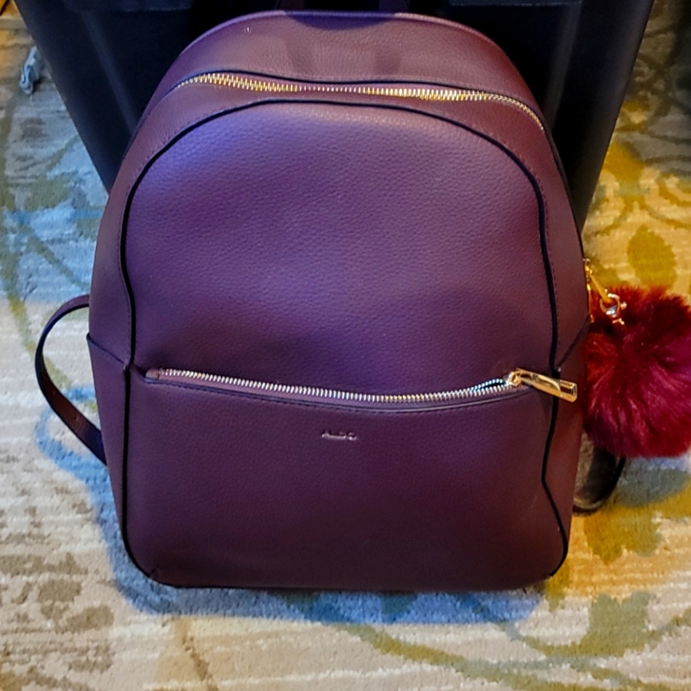 Aldo backpack